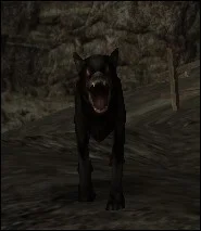 SamBeliar - Puszek nie gryzie
#psiarze #psy #gothic