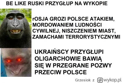 Grzesiok - :D Śmieszne jak ruskopki łudzą się, że głupota ukraińskich przywódców spow...