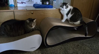 Solsith - @niezobaczysz: Best zakup ever( ͡° ͜ʖ ͡°)