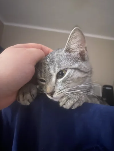 SunnO - @zombiexland zrobione ( ͡° ͜ʖ ͡°)