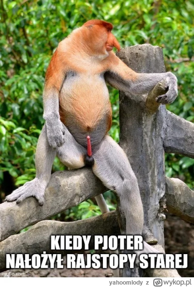 yahoomlody - #konkursnanajbardziejgownianymemznosaczem