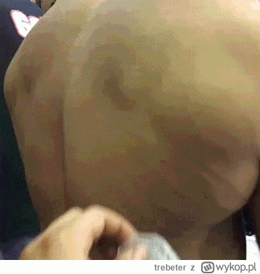 trebeter - #silownia #humor #gif