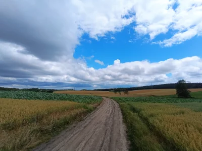 MoonlightSh - 311 924 + 180 = 312 104

Poznańska Korba

#rowerowyrownik #rower #mtb

...