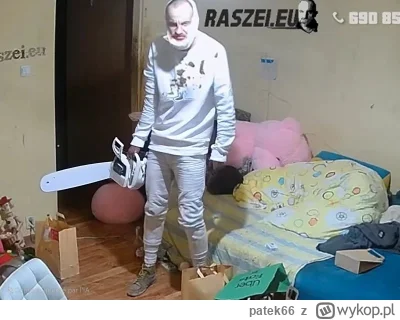 patek66 - #danielmagical #patostreamy