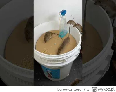 borewiczzero7 - https://www.youtube.com/shorts/wOO5zEFjCV4 nie kończąca się pułapka n...