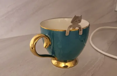 litowo-polimerowy - @Teuvo: oddaj moją filiżankę z kotkołyżką (╯°□°）╯︵ ┻━┻