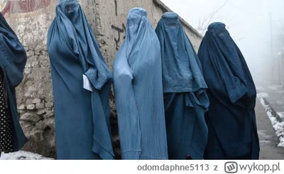 odomdaphne5113 - Islamskie kobiety już dawno mają sposób na rozwiązanie tego problemu...
