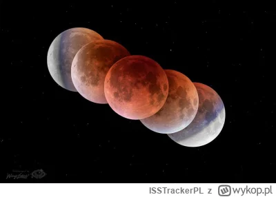 ISSTrackerPL - Cześć!

Najbliższy przelot Międzynarodowej Stacji Kosmicznej:
 
1. 202...