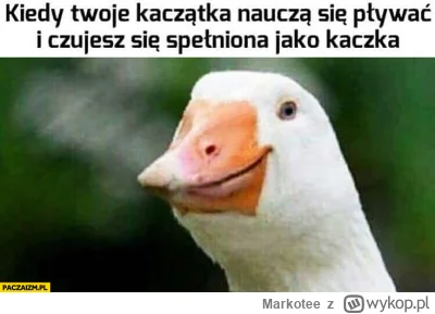 Markotee - @jude_88: