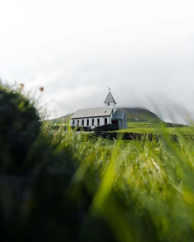 PorkaTurbo - @PorkaTurbo: