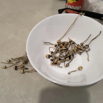 JonaszSynGrazyny - Dzień dobry