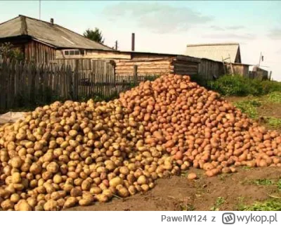 PawelW124 - #przegryw

Miałem dziś posiać kolejne warzywa ale nie chce ryzykować w te...