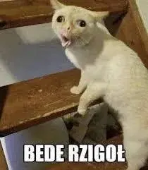 rolooo - @Knoblauch: