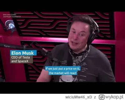 wiciuWw46_xD - @kkecaj: Musk 2021
