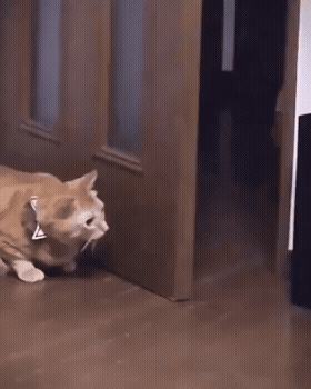 Uuroboros - pa na to jaki śwagier