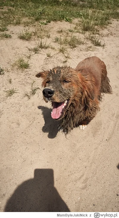 MamByleJakiNick - @MamByleJakiNick wygląda na zadowolonego z siebie (｡◕‿‿◕｡)