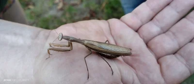 powsinogaszszlaja - Dzisiaj odwiedziła mnie fajna laseczka. Fajny prezent na urodziny...