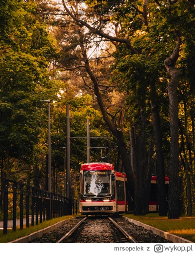 mrsopelek - Jedna z najbardziej uroczych pętli tramwajowych w Polsce - Stogi w Gdańsk...