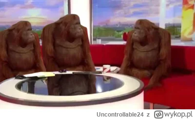 Uncontrollable24 - Where krach? XD #gielda