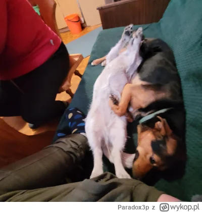 Paradox3p - @PiccoloColo: