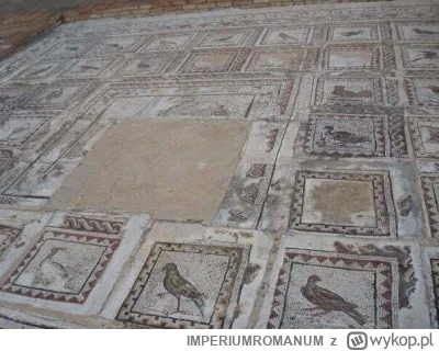 IMPERIUMROMANUM - Rzymska mozaika ukazująca ptaki

Rzymska mozaika podłogowa przedsta...