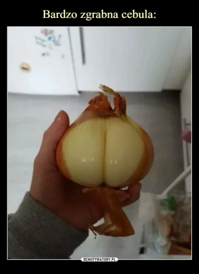 RomanHorsetych - @hotshopspl: