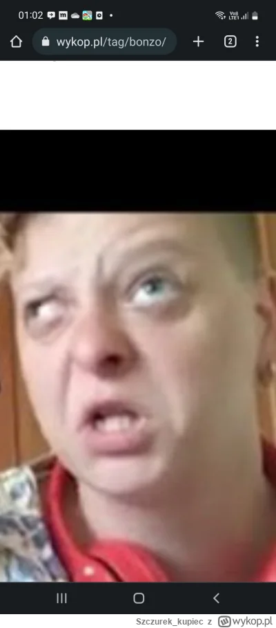 Szczurek_kupiec - #bonzo akat quiz
