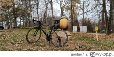 goofas7 - 635 814 + 76 + 82 + 65 = 636 037

W tym roku przekroczone już 12000km więc ...