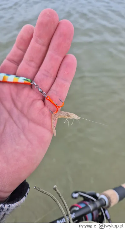 flytying - @flytying wczoraj złapałem krewetke