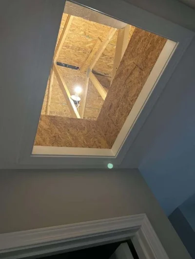 Neocaridina - Koleś odkrył że od chwili budowy domu 5 lat temu na strychu jest na kró...