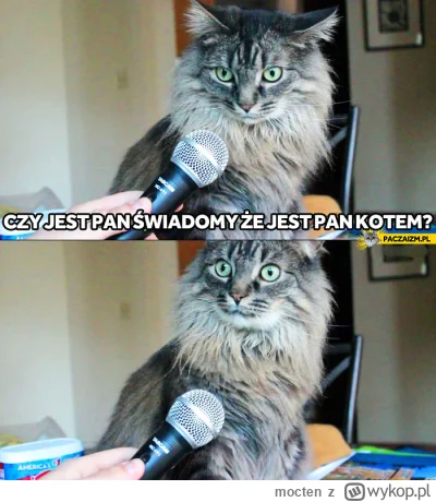 mocten - ( ͡° ͜ʖ ͡°)