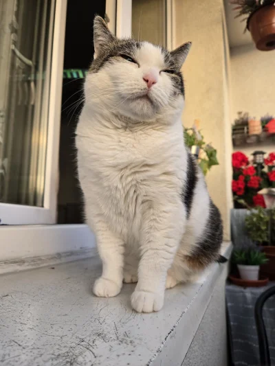 Solsith - @vateras131: tylko jedna, człowiek wie po co do roboty wstaje (zarobić na s...