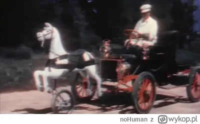 noHuman - Kiedyś był taki wynalazek żeby nie straszyć prawdziwych koni na drodze :)  ...