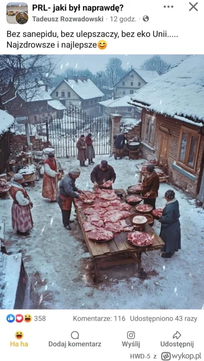 HWD-5 - Mniam mniam pyszna salmonella 
#grazynacore #rakcontent #kiedystobylo