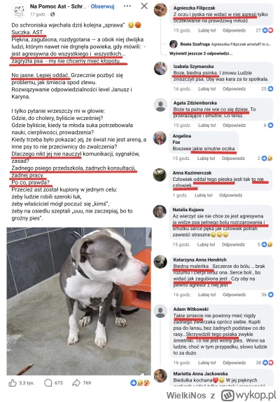 WielkiNos - Komentarze psiar pod postem o agresywnym amstaffie, którego właściciele o...