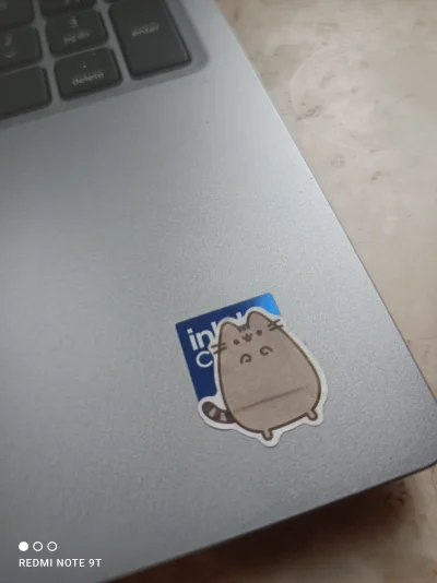 BebeiBe - Incel Pusheen Core 2 Duo

#incel #pusheen