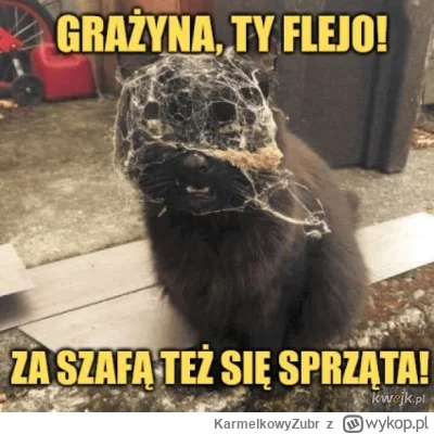 KarmelkowyZubr - #koty #kitku #memy #heheszki #humorobrazkowy