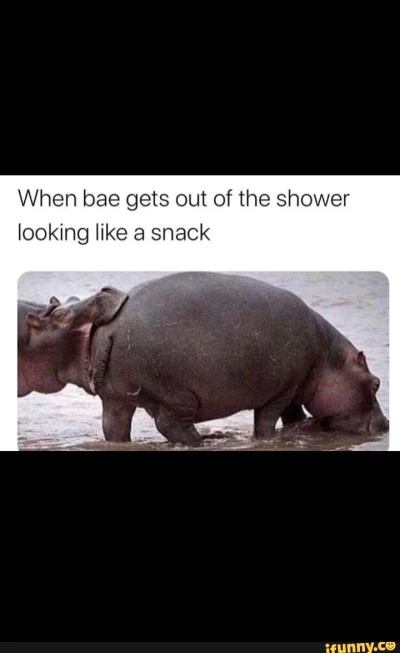 Revisione - @SpierdotripEnthusiast: