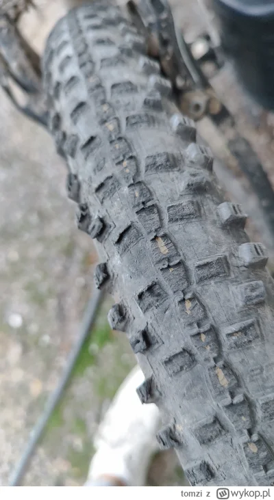 tomzi - Mirki #rower #mtb czy to jest normalne życie opony po sezonie? Przejechane 15...