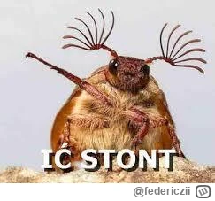 federiczii - @dam115: