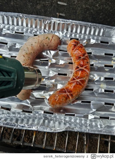 serek_heterogenizowany - @EnderWiggin: