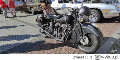 Zwierz33 - jedziemy na dziewczonki huopy ? 

#przegryw