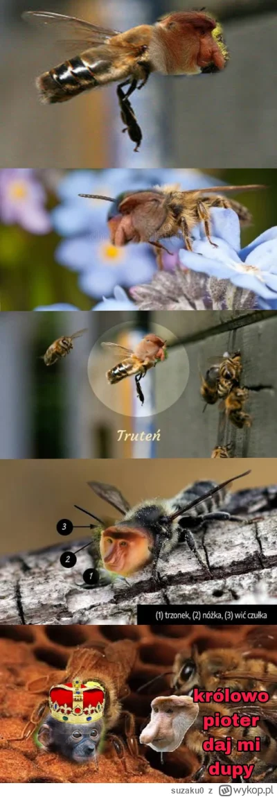 suzaku0 - #konkursnanajbardziejgownianymemznosaczem