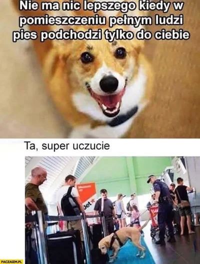 Darius_ - #pies #psiarze