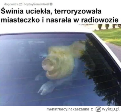 menstruacyjnakaszanka - #porannacenzopapa