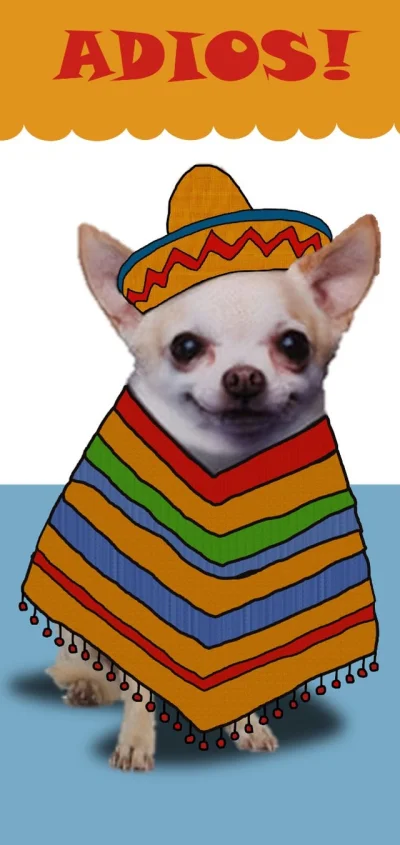 denazyfikacja - zawsze jak coś nie pasi to mogą odejść i nikt nie będzie tęsknił ( ͡°...