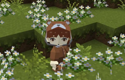Miteora - #lainiwakura #anime #randomanimeshit #minecraft #serialexperimentslain