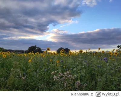 Riannon86 - I w ciezkim.dniu można znaleźć coś pięknego.
#podrozojzwykopem