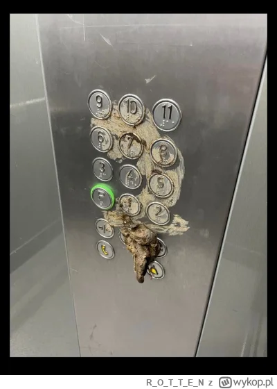 ROTTE_N - #polska #patologiazmiasta