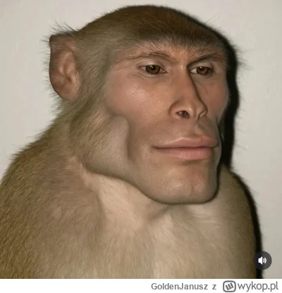 GoldenJanusz - to ja przez te pół godziny